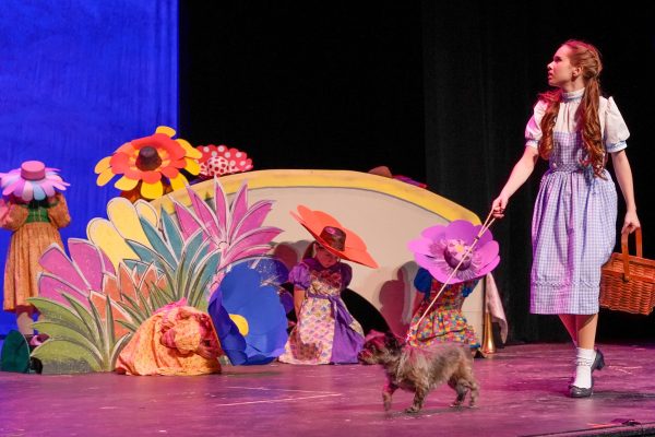 wizard of oz munchikins