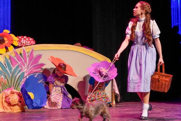 wizard of oz munchikins_edited